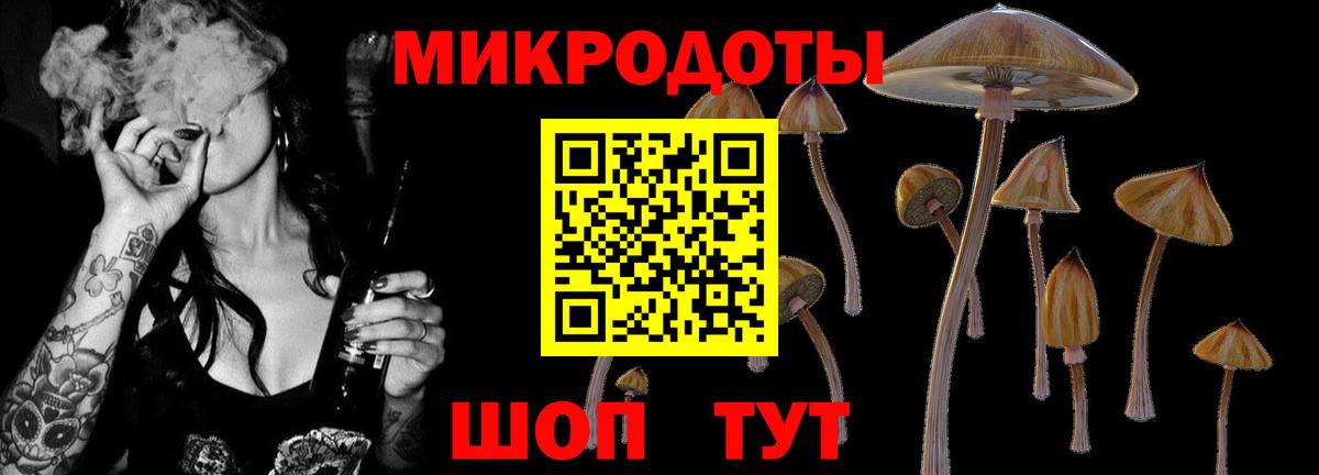 Псилоцибиновые грибы Cubensis Десногорск